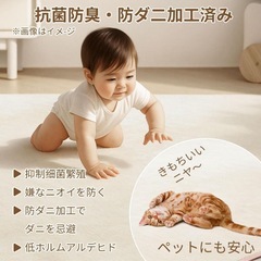 ラグ カーペット 約1.5畳 130 x 185cm 滑り止め付き ラグ 洗えるの画像