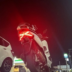 pcx81の画像