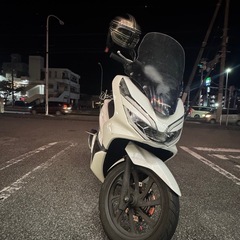pcx81の画像