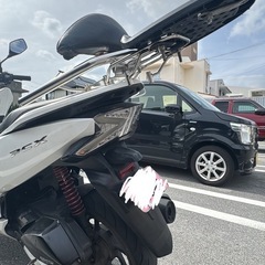 pcx81の画像