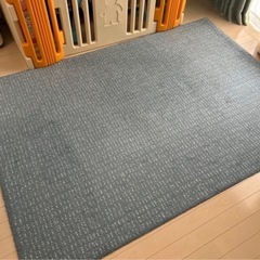 【廃盤品】IKEAラグ LANGSTEDラングステド 133x195 cmの画像