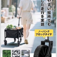 キャリーカートの画像