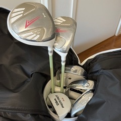 ゴルフクラブセット WORLD EAGLEの画像