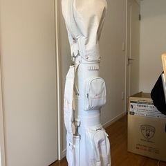 ゴルフクラブセット WORLD EAGLEの画像