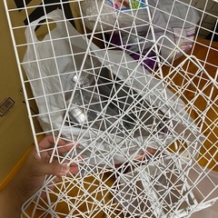 【断捨離】全部もらってくださいの画像