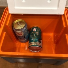 クーラーボックス　コンパクトタイプの画像