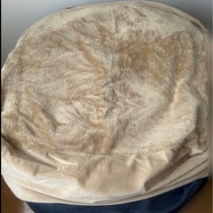 人をダメにするビーズソファーの画像