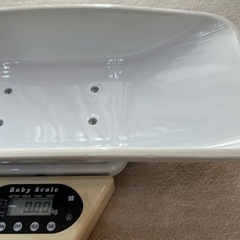 ベビースケール　ミサキ　大樹の画像