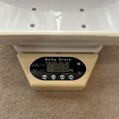 ベビースケール　ミサキ　大樹の画像