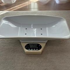 ベビースケール　ミサキ　大樹の画像