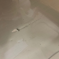 【取引中】冷蔵庫　TOSHIBA GR-38ZS（N）375Lの画像