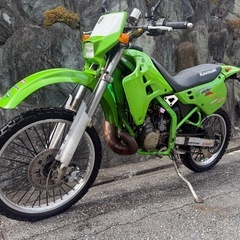 カワサキ　 KDX DX125A 実動　 2スト　KDX125SR 始動動画あり　キャブレター洗浄済　始動動画あり　オフロード車　兵庫県宝塚市の画像