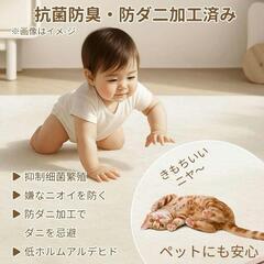 【新品】ラグ カーペット 約2畳 185 x 185cm 滑り止め付 洗濯機 丸洗いの画像