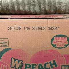 アサヒ飲料 ウィルキンソン タンサン炭酸 ダブルピーチ 500mlペットボトル×24本入の画像