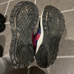 ハイカットスニーカーの画像