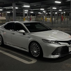 カールソン1/16  の画像