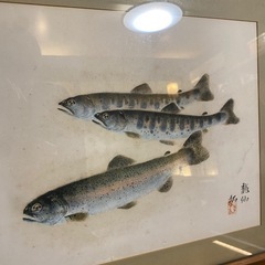 13.14日優先　龍仙筆 淡水魚図 ヤマメとニジマス 写生画の画像