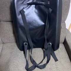 空手　モリヤ　ビッグミットの画像