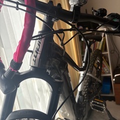 【値下げ交渉可】GIANT FATHOM E+ PRO S E-BIKEの画像