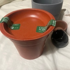 小さめ鉢の画像
