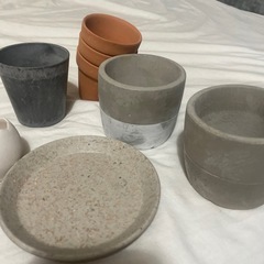 小さめ鉢の画像