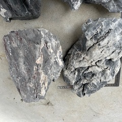 龍王石、溶岩石、流木まとめての画像