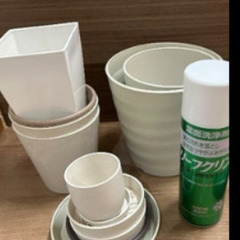 観葉植物セットの画像