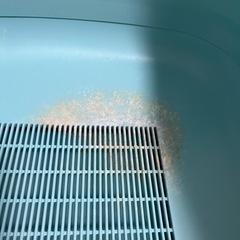 猫　システムトイレの画像