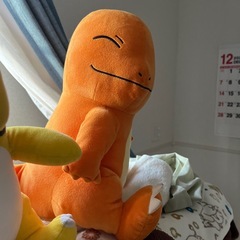 ポケモンぬいぐるみ5体の画像