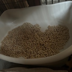 デオトイレの画像