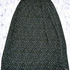 ロングスカート(6)の画像