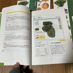 ベジタブルマスターDVD 参考書セットの画像