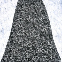 ロングスカート(10)の画像