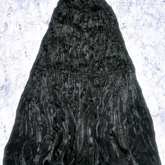 ロングスカート(12)の画像