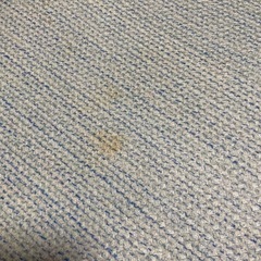 ニトリ　拭けるキッチンマット　180センチの画像