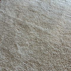 ニトリ ほこりがとれやすい洗えるラグ（130X185cm）ベージュの画像