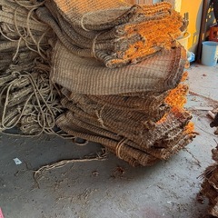 むしろ他の画像