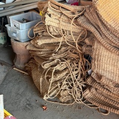 むしろ他の画像