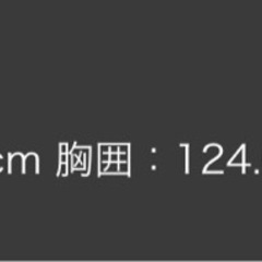 THE NORTH FACE ノースフェイスGO-TO SWEATSHIRTSの画像