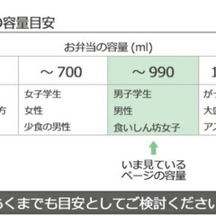 スケーター skater 保温 保冷 真空 ステンレス ランチBOX 840mlの画像