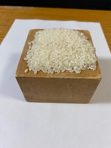 令和7年度産　1等新米コシヒカリ