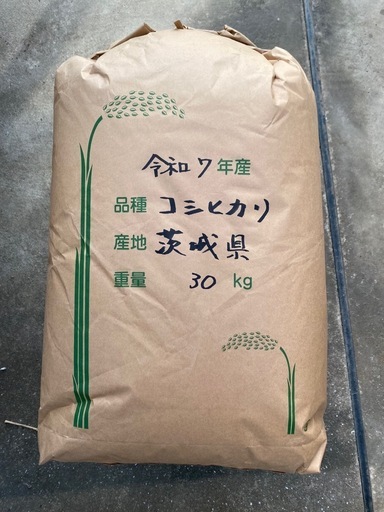 令和7年度産　1等新米コシヒカリ