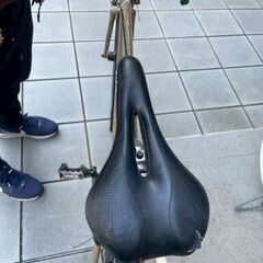 木目調ピストの画像