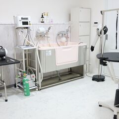 【土日祝メイン／学生OK】トリマー アルバイト・パート｜ドッグサロンソレイユの画像