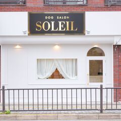 【土日祝メイン／学生OK】トリマー アルバイト・パート｜ドッグサロンソレイユの画像