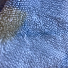 西川　毛布の画像