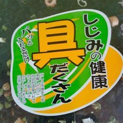 食品　みそ汁の具　しじみの健康　具だくさんの画像