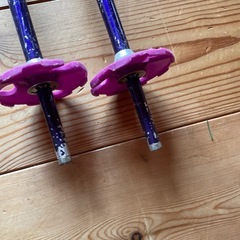 スキーストックの画像