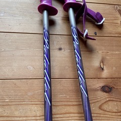 スキーストックの画像