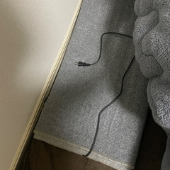 ホットカーペットの画像